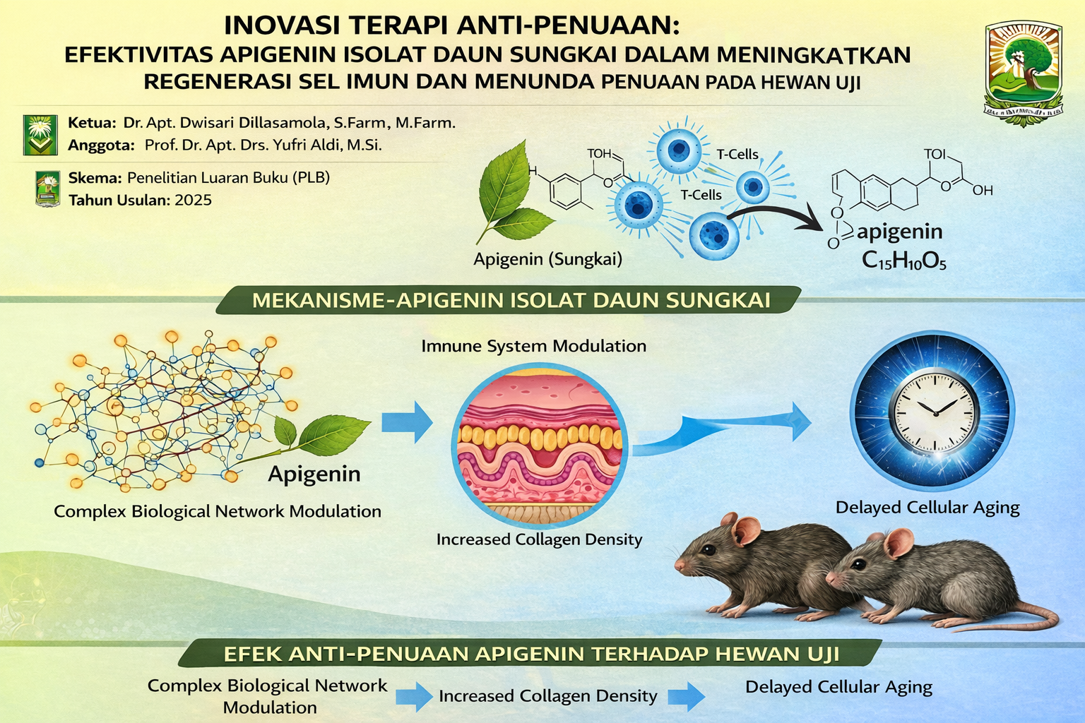 "Inovasi Terapi Anti-Penuaan: Efektivitas Apigenin Isolat Daun Sungkai dalam Meningkatkan Regenerasi Sel Imun dan Menunda Penuaan pada Hewan Uji"